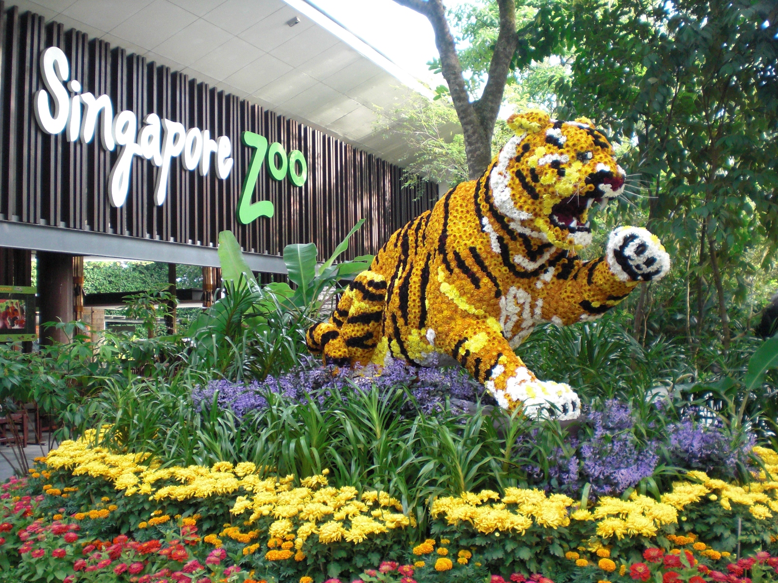 singapore-zoo.jpg